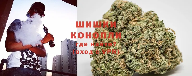 Бошки марихуана Ganja  Кизляр 